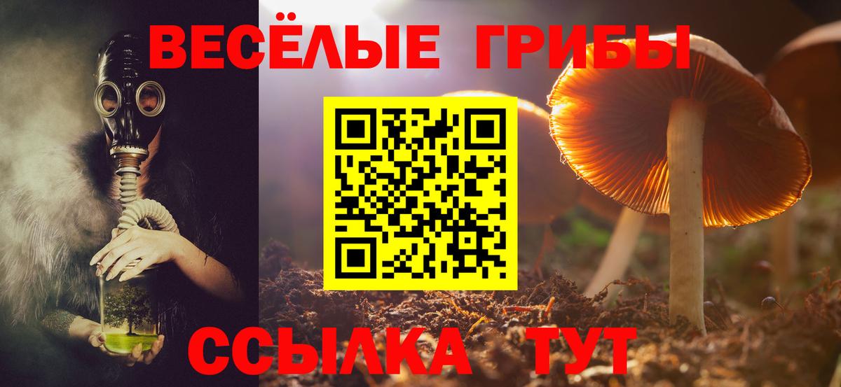 купить наркотики цена  Вход с VPN  Псилоцибиновые грибы Psilocybe  Белогорск  Галлюциногенные грибы ЛСД 