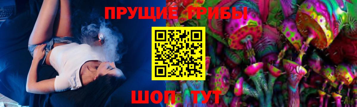 Галлюциногенные грибы Psilocybine cubensis Белогорск